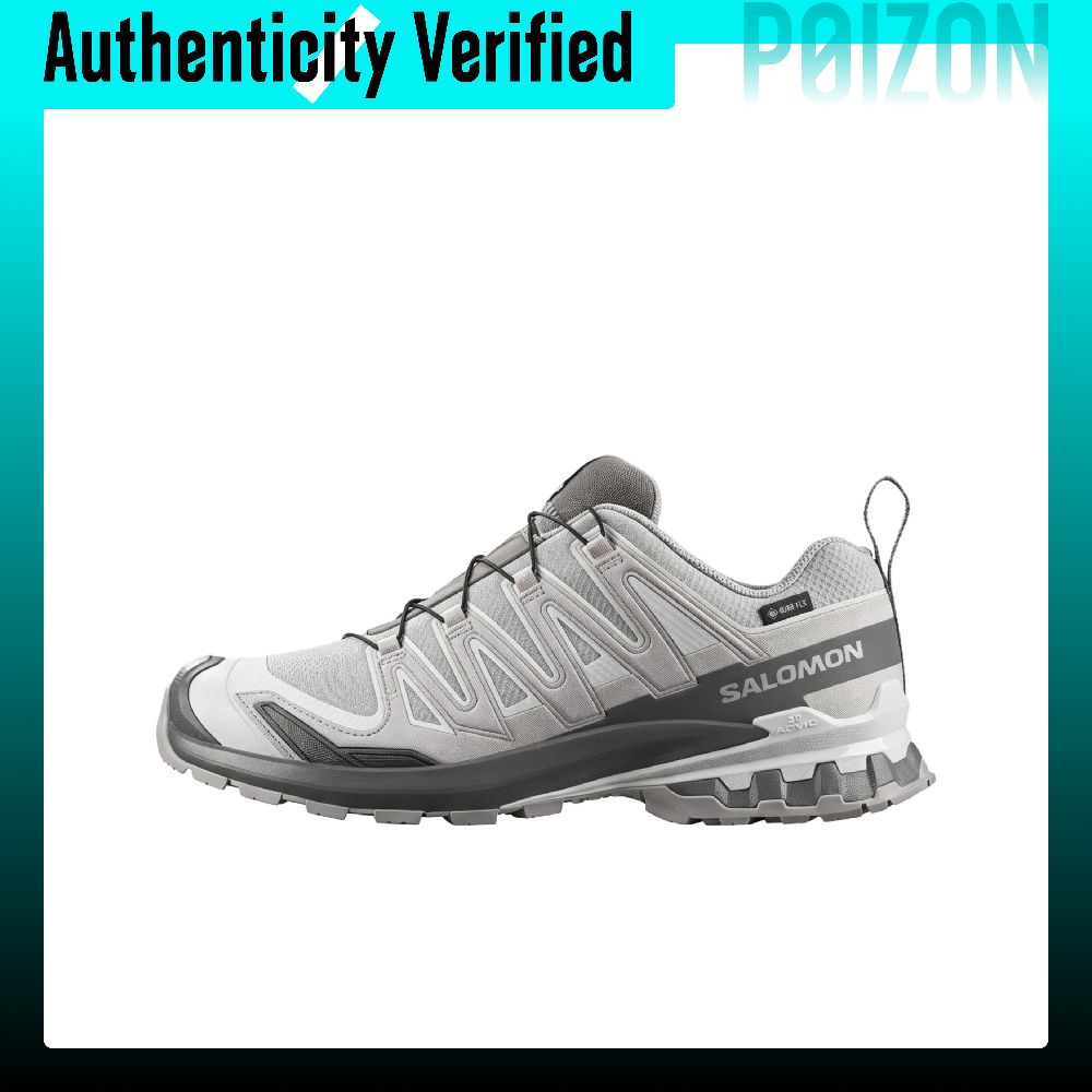 SALOMON XA Pro 3D V9 Mountaine - Salomon Shoes Xa Pro 3D 评论和价格